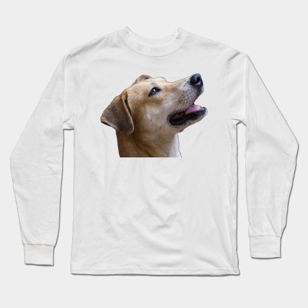i love dog Long Sleeve T-Shirt by rickylabellevie